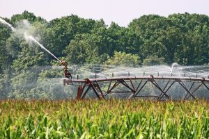 Photo of an irrigation system in a farm field